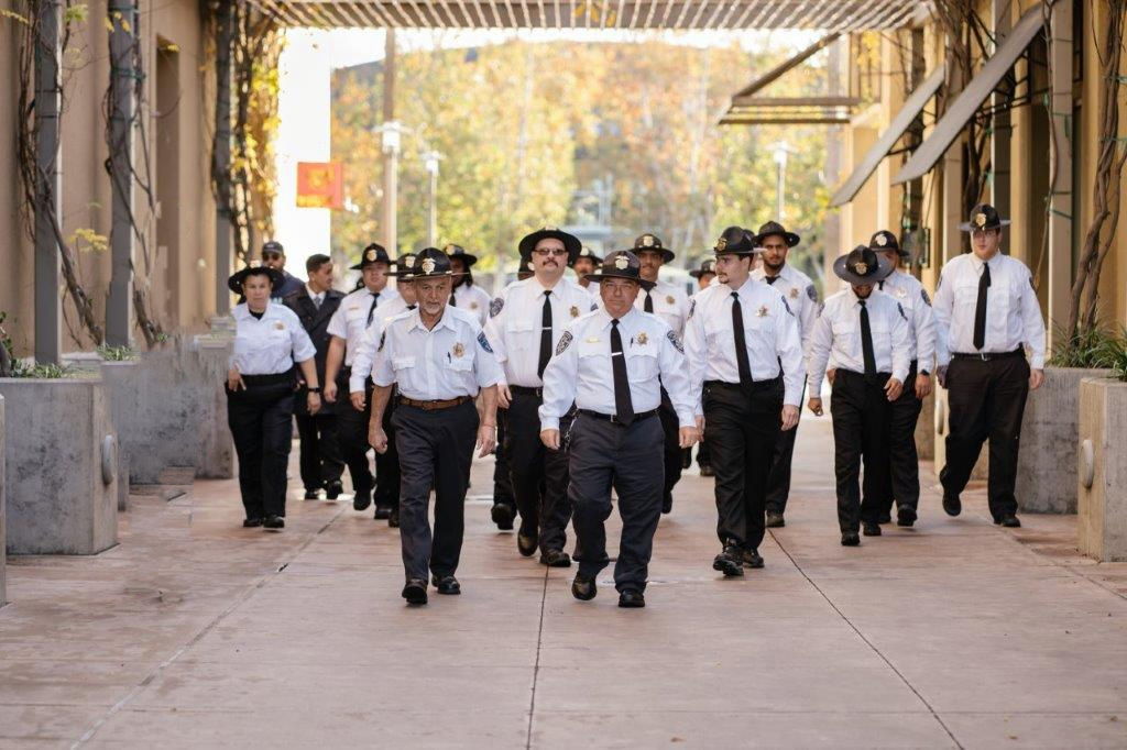 Standing Guards Photo